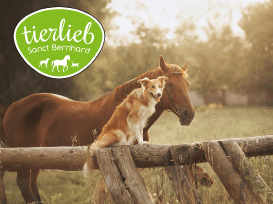 Alle Neuigkeiten um Ergänzungsfutter- und Pflegemittel der Marke tierlieb