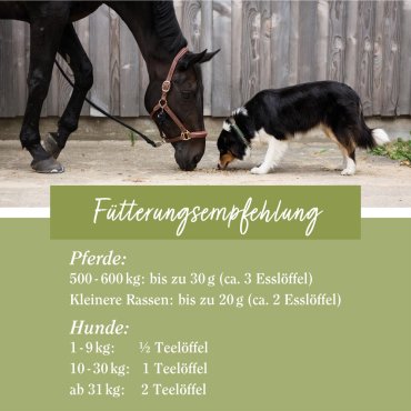 tierlieb Ginkgo-Pulver für Hunde und Pferde 400 g