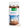 Lactase-Kapseln 14.000 FCC-Einheiten 150 Kapseln