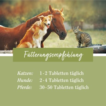 tierlieb Bierhefe-Tabletten für Pferde, Hunde, Katzen und Kleintiere 400 Tabletten